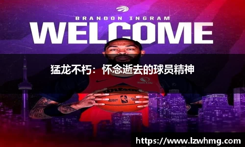 猛龙不朽：怀念逝去的球员精神